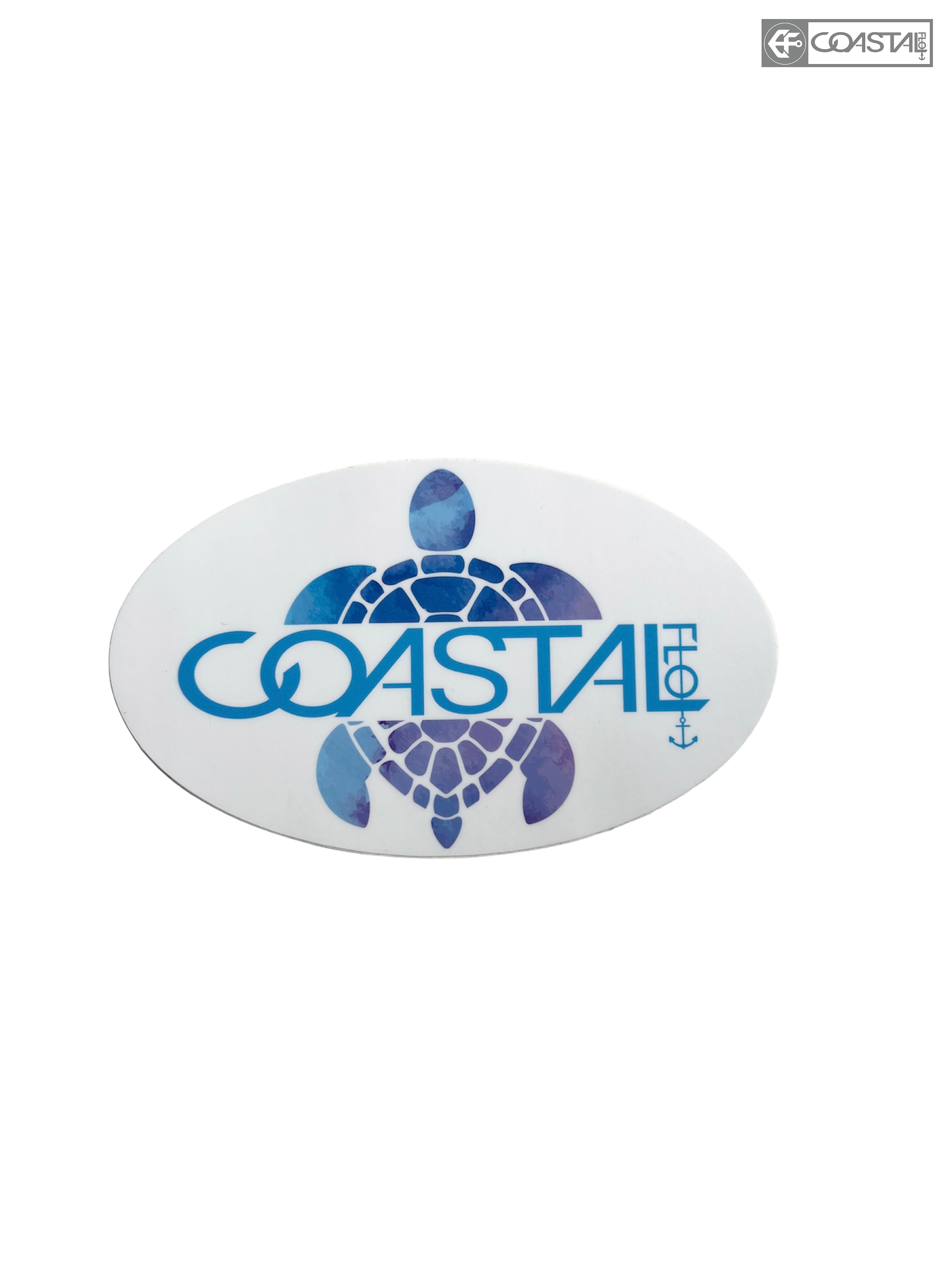 Vinyl Sticker "Turtle Vibe" 3"x5" Decal